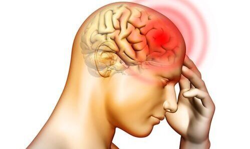 endoparasites dina otak manusa